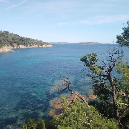Tres Beau T1